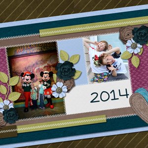 p365 2014 cover