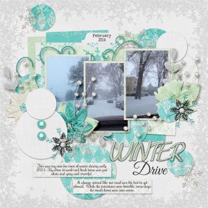 Winter Drive 2014