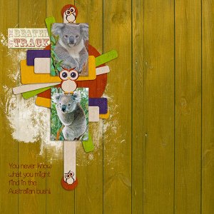 Koalas
