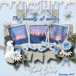 The_beauty_of_winter