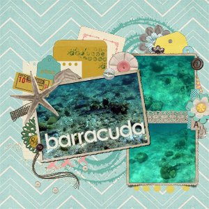 Barracuda