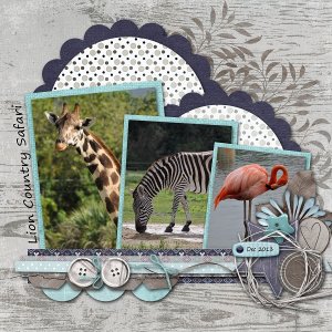 Lion Country Safari
