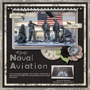 Naval Aviation