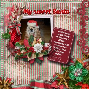 My_sweet_Santa