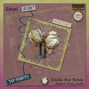 Smell the Roses