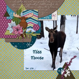 Miss Moose