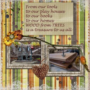 Treasure Our Trees