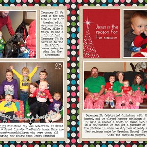 Project 2014 - December 22-28