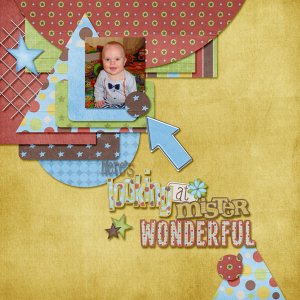 Mr Wonderful