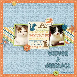Sherlock and Watson