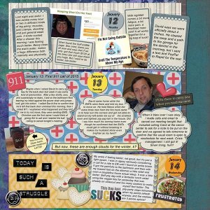 2015 P52 Week Two, page 2