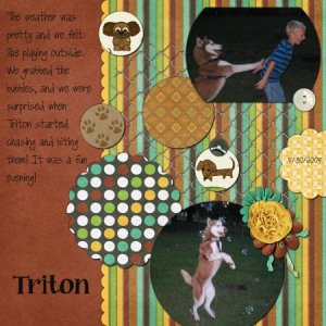 Triton playing with bubbles (2)