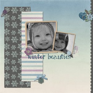 Winter Beauties