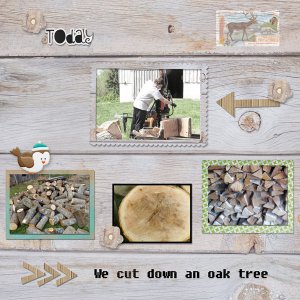 Oak Tree