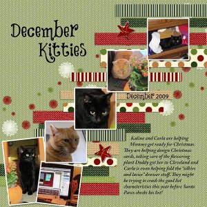 December Kitties