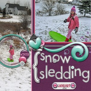 Snow Sledding