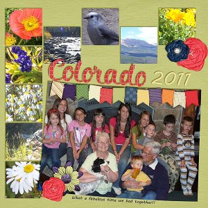 Colorado 2011 a