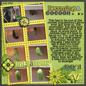 Becoming a Cocoon
