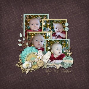 Baby's First Christmas