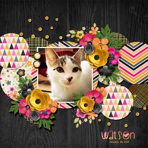 watson