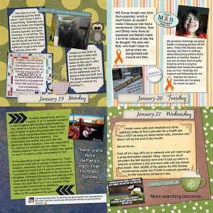 2015 P52 Week Three Page 2