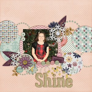 Shine6