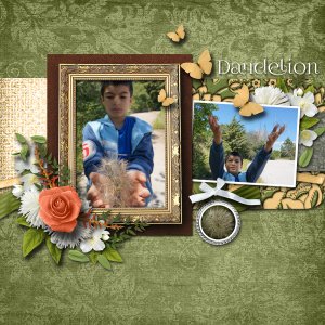 dandelion