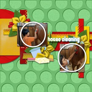 horse cleaning