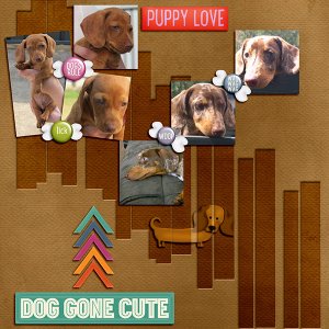 Puppy Love