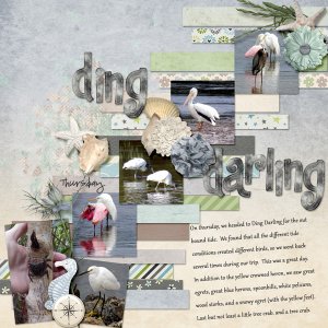 Ding Darling
