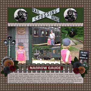 Narrow Gauge