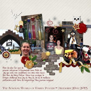 Magical World of Harry Potter 2013