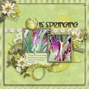 Spring is Springing