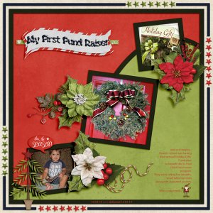 My First Fund Raiser