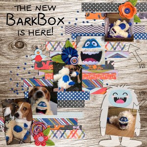 the new BarkBox is here!