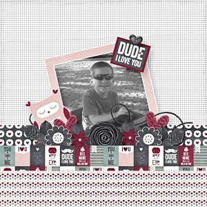BD-DudeILoveYou