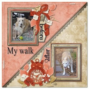 Dog walk
