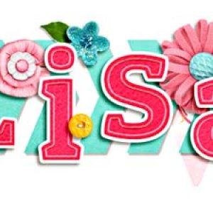 Feb Siggy Challenge