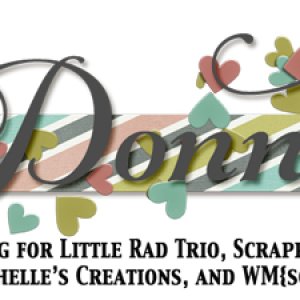 February 2015 Siggie Challenge