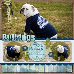 Even the Bulldogs are Rooting for the Riverhawks