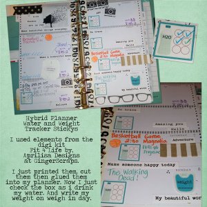 Hybrid Planner Stickys
