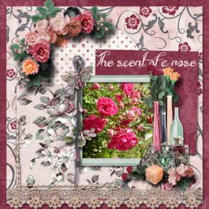 The_scent_of_a_rose