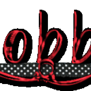 2015 Feb Siggy