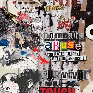 Domestic Abuse Survivor