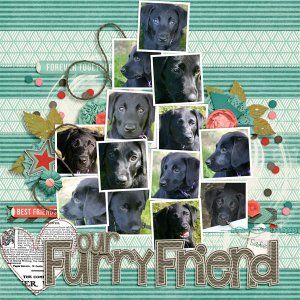 Love Our Furry Friend