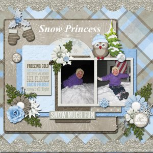 Aprilisa Snow Winter