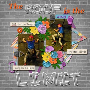 The Roof is the Limit