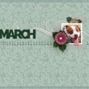 March Desktop