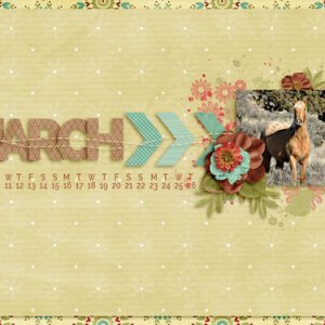 March desktop