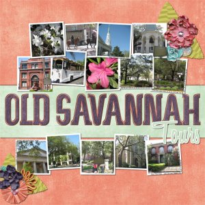 2010-03-31_03Savannah_QWS_SMBF_temp2_post